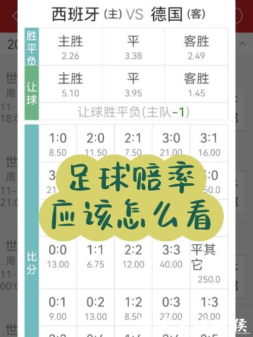 如何在世界杯下注时调整赔率的方法详解